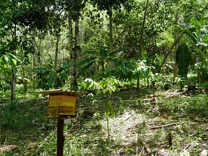 Assentamento Terra Vista - MST