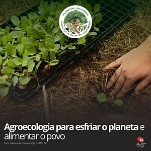 Agroecologia Por Justiça Ambiental e Climática