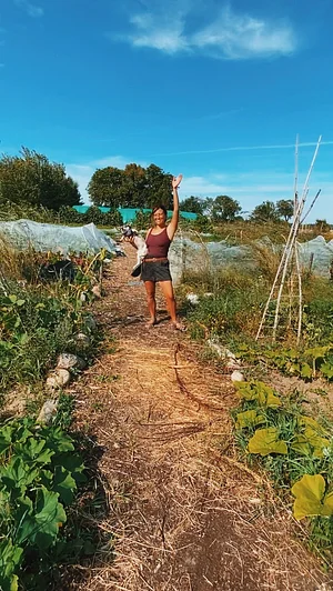 Our garden