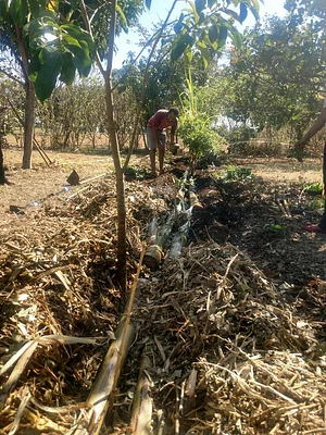 NEPEAS - Núcleo de Estudo, Pesquisa e Extensão em Agroecologia e Sustentabilidade
