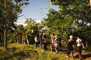 Núcleo de Agroecologia da Universidade de Brasília