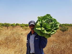 Dar Slaouia Organic Ferme Permaculture