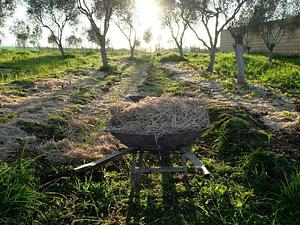 Dar Slaouia Organic Ferme Permaculture
