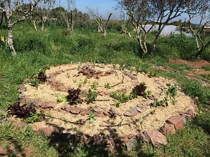 Permaculture à la ferme Dar Slaouia