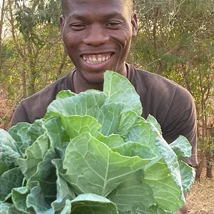Taaru Askan's fresh organic.