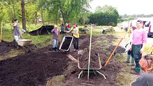 plantation d'arbres