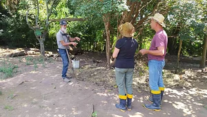 Saberes da floresta