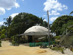 Bioconstrução, Bambu e Geodésica