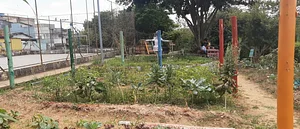 Horta da Mata