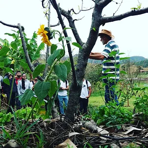 Dia de Aula no Campo