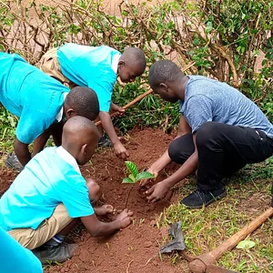 Environmental Awareness and tree Planting