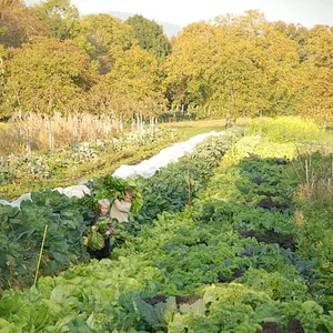 Agroecology Works!
