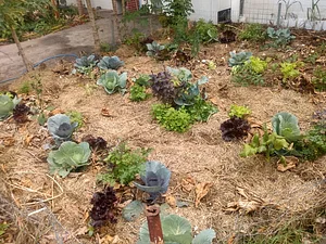 Sede do Planta na Rua RJ