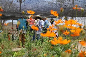 CEDASB - Centro de Convivência e Desenvolvimento Agroecológico do Sudoeste da Bahia