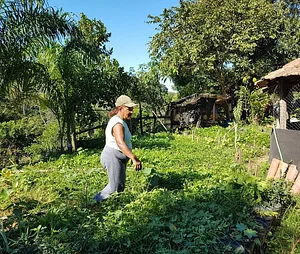 Projeto CASA - Comunidade Acadêmica que dá Suporte a Agricultura