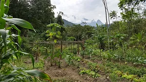 Projeto CASA - Comunidade Acadêmica que dá Suporte a Agricultura
