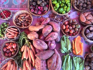 Projeto CASA - Comunidade Acadêmica que dá Suporte a Agricultura