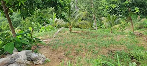 Permaculture at Farm Iley Harvesters