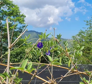 Permaculture at Farm Iley Harvesters