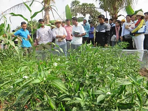 School Garden Facilitators