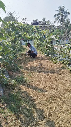 GreenShoots Agroecology Community Centre
