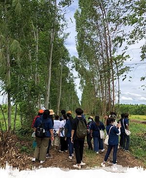 Btll Agroforestry