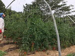 Kasamatsu Farms
