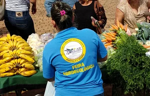 Dia de Feira