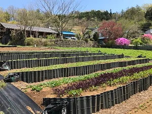Kasamatsu Farms