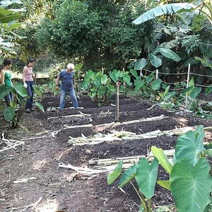 Biodiversidade alimentar