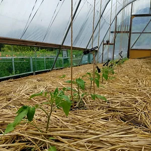 Kasamatsu Farms