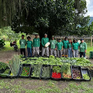 Mais uma colheita agroecológica incrível