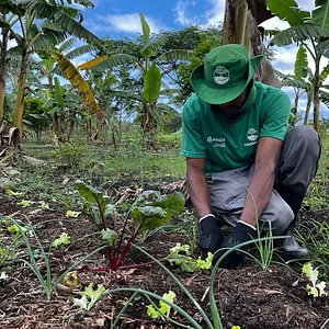 Unidades de Produção Agroecológica - COOPERAR
