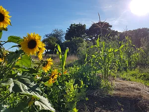 Jardin-Forêt d'Eos