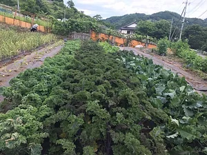 Kasamatsu Farms