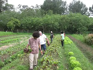 Quintal Agroflorestal Biodiverso