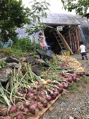 Kasamatsu Farms