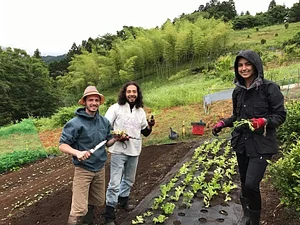 Kasamatsu Farms