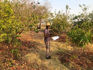Agroecology Institute of Namibia
