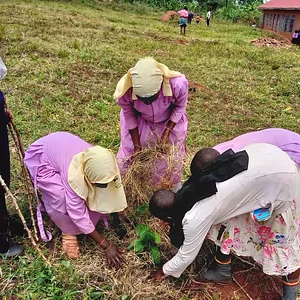 Environmental Awareness and tree Planting