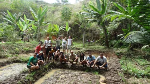 Plantadores de Água 3