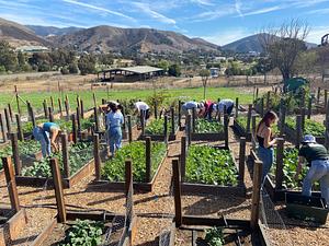 Agroecology Learning Garden at the Cal Poly CAFES Experimental Farm