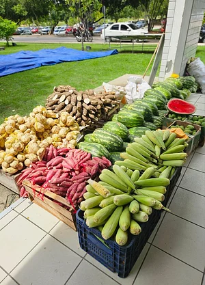 Dia de feira