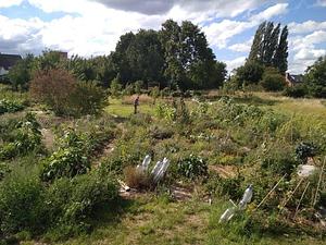 Fruity Haren Permaculture