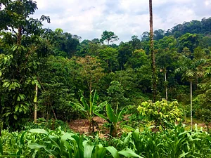farm bordering a bioreserve