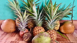 pineapples / coconuts / Rollinia