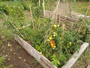 Collective Garden Project