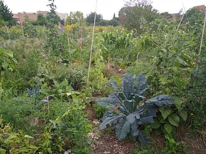 Collective Garden Project