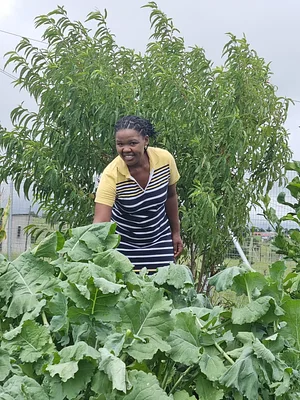 Community based Seed Distributor