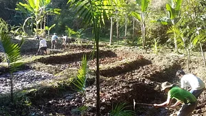 Kapi'xawa 3